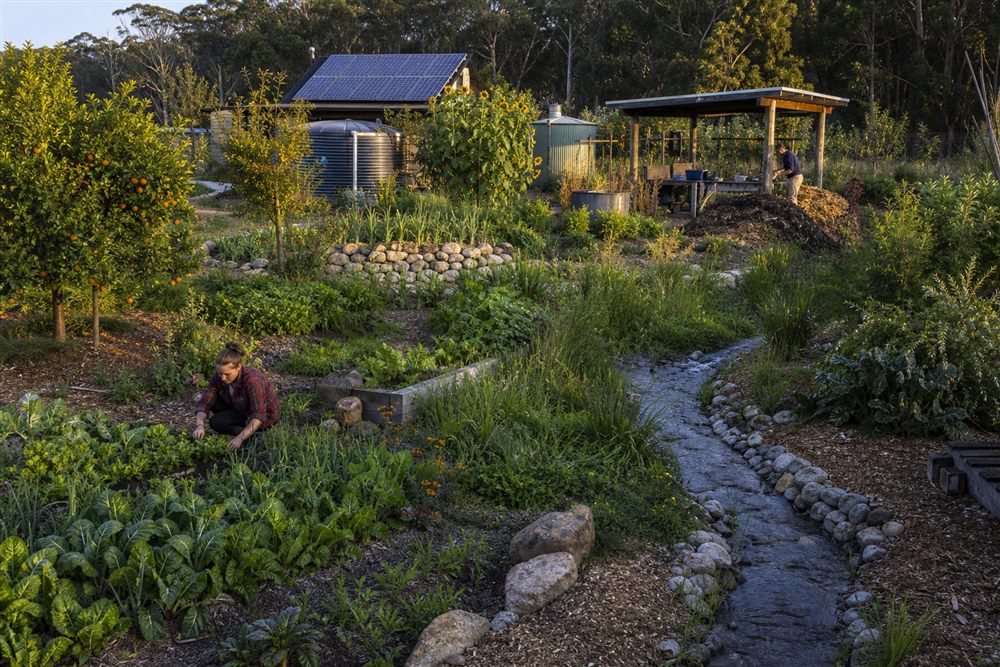 A regenerative landscape connecting a food forest, water, solar power, and compost