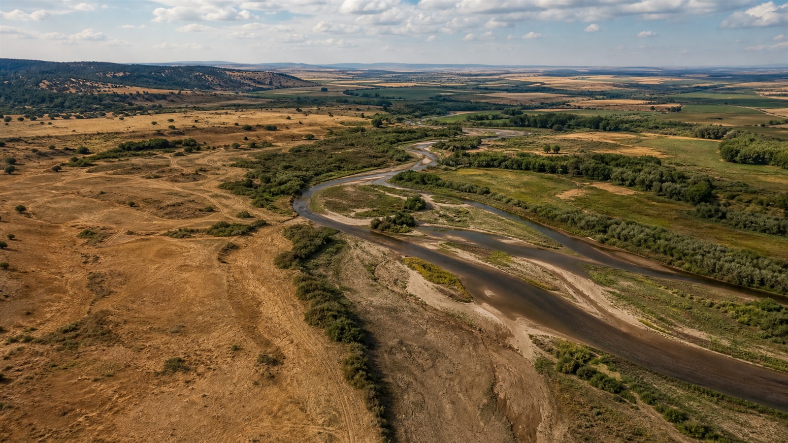 Aerial view of a low-flow river winding between drought-stressed and greener late-summer landscapes.