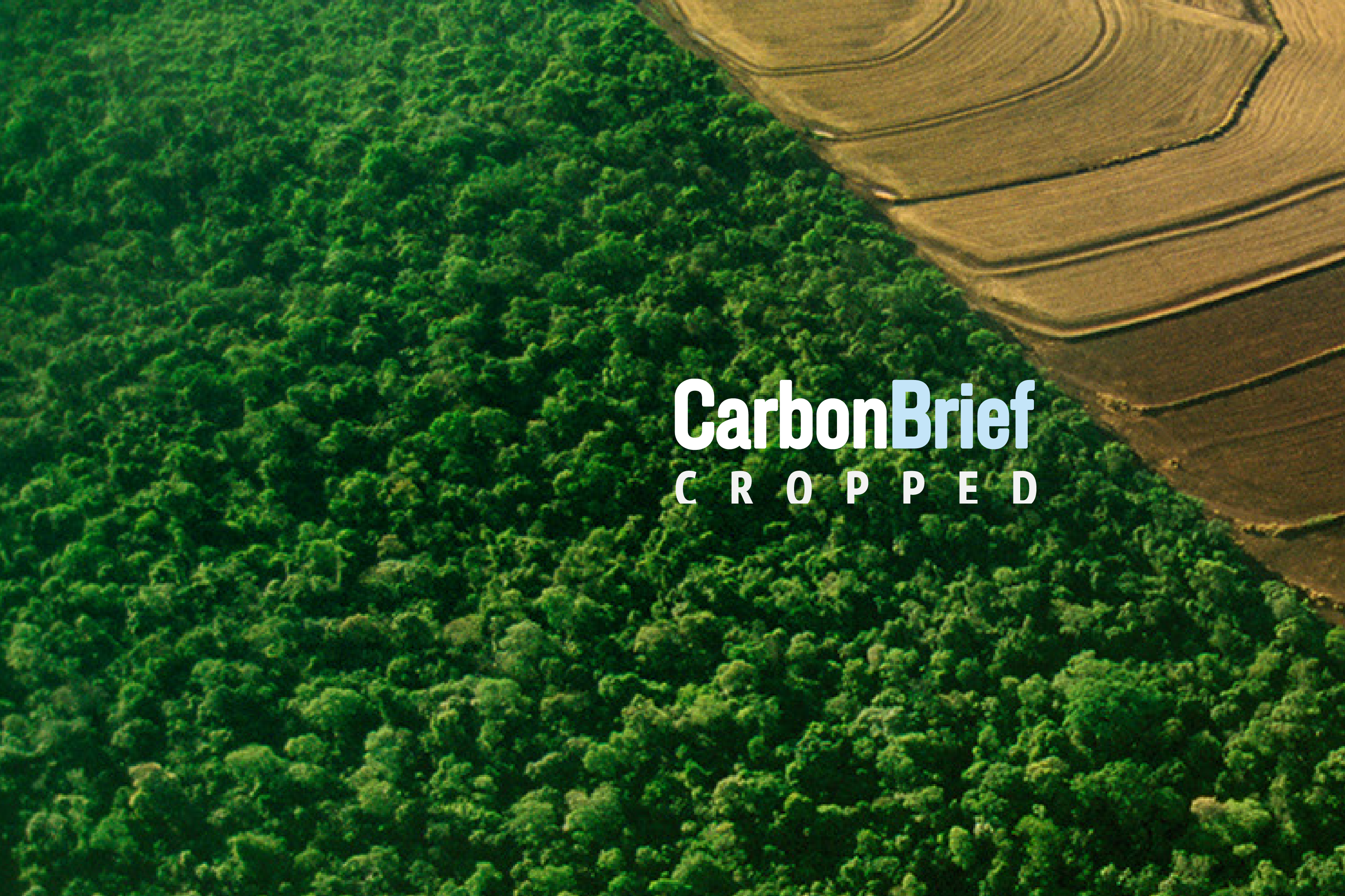 Aerial view of forest beside harvested fields with the Carbon Brief Cropped title.