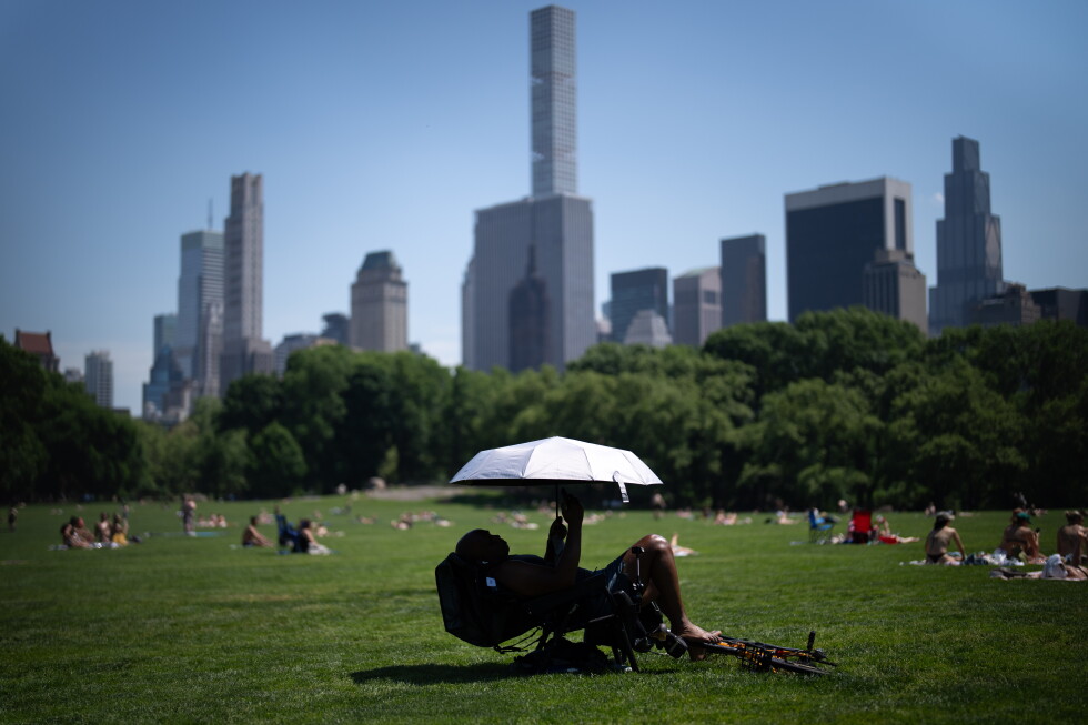 Person shelters under a reflective umbrella during extreme heat in a city park.