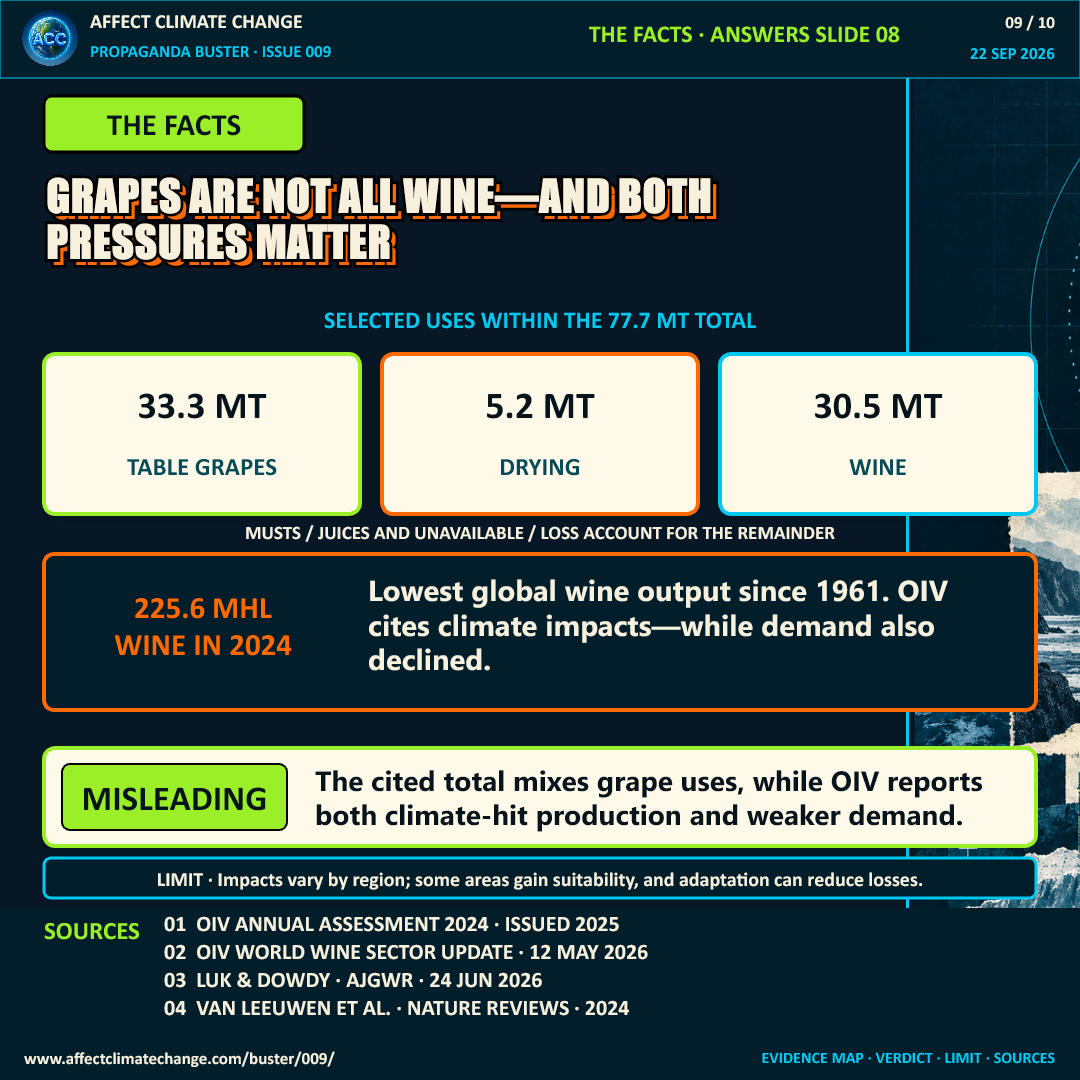 Facts page titled “Grapes are not all wine—and both pressures matter.” Three cards show selected uses within the 77.7-million-tonne grape total: 33.3 million tonnes of table grapes, 5.2 million tonnes for drying, and 30.5 million tonnes for wine. A label says musts and juices plus unavailable or lost grapes account for the remainder. The page states that 2024 global wine output was 225.6 million hectolitres, the lowest since 1961, and that the OIV cites climate impacts while demand also declined. Verdict: misleading. Impacts vary by region and adaptation can reduce losses.